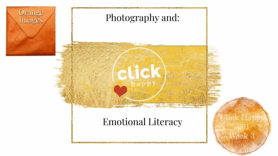 CH201-3 Orange Emotional Literacy